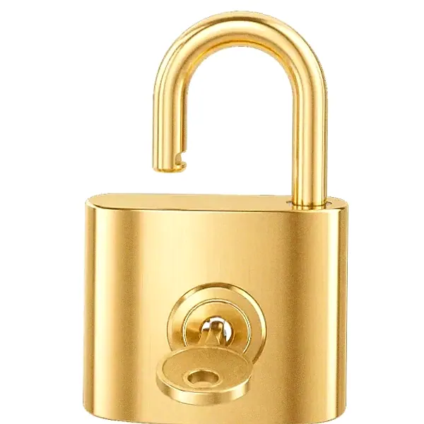 Open padlock — Cashmo