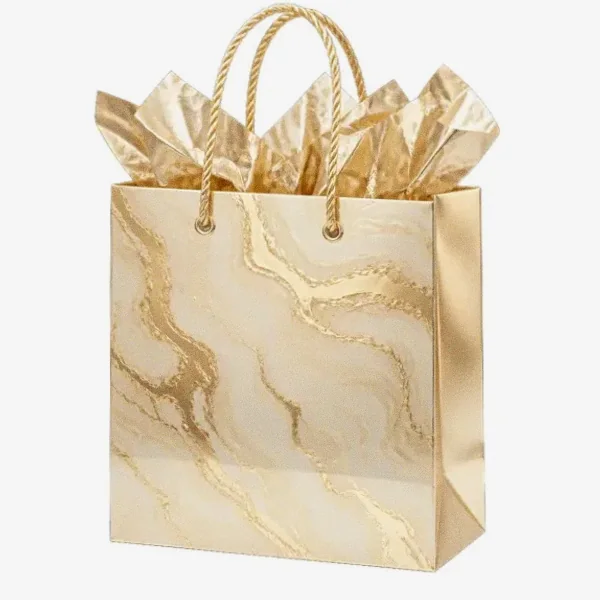 Paper gift bag — Cashmo