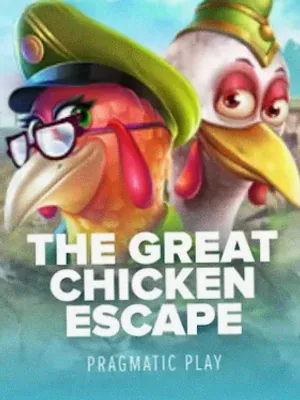 The Great Chicken Escape at Cashmo