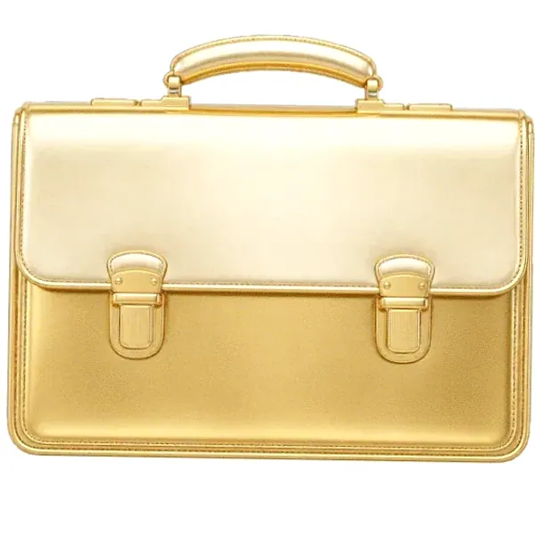 Leather briefcase — Cashmo