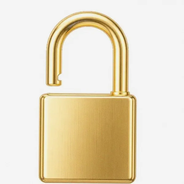 Padlock — Cashmo